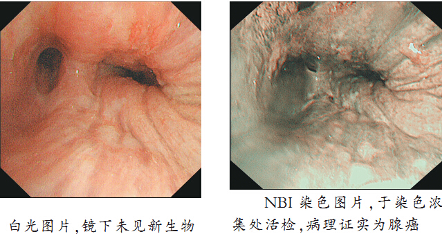 QQ截图20150630172030.jpg