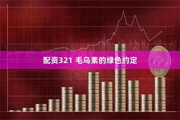配资321 毛乌素的绿色约定