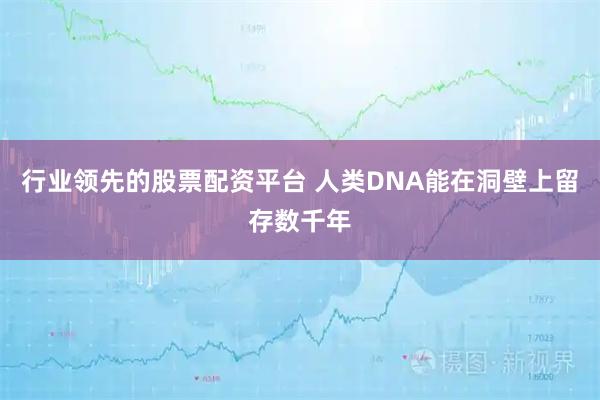 行业领先的股票配资平台 人类DNA能在洞壁上留存数千年