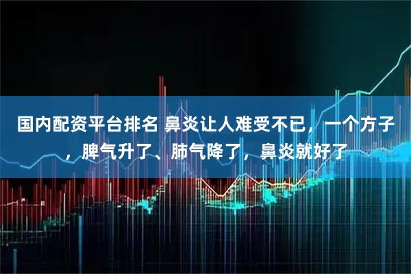 国内配资平台排名 鼻炎让人难受不已，一个方子，脾气升了、肺气降了，鼻炎就好了